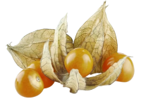 Physalis (environ 200gr)