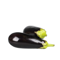 Lot de 2 aubergines