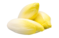 lot de 4 Endives bio environ 500gr