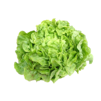 Salade bio /pièce