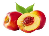 Lot de 3 nectarines